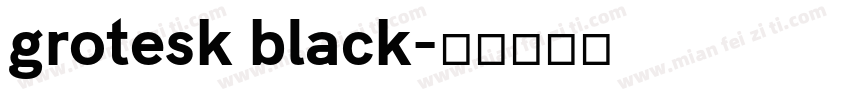 grotesk black字体转换
